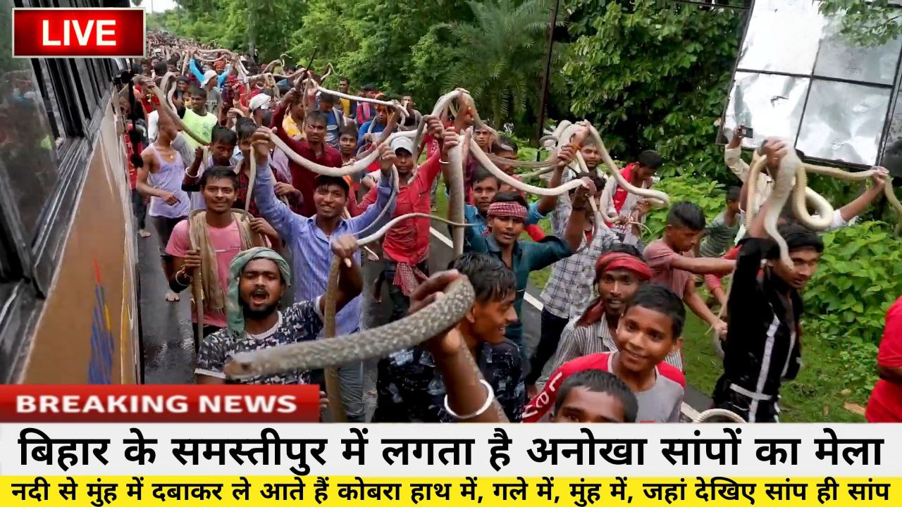 Bihar's Thrilling Snake Fair