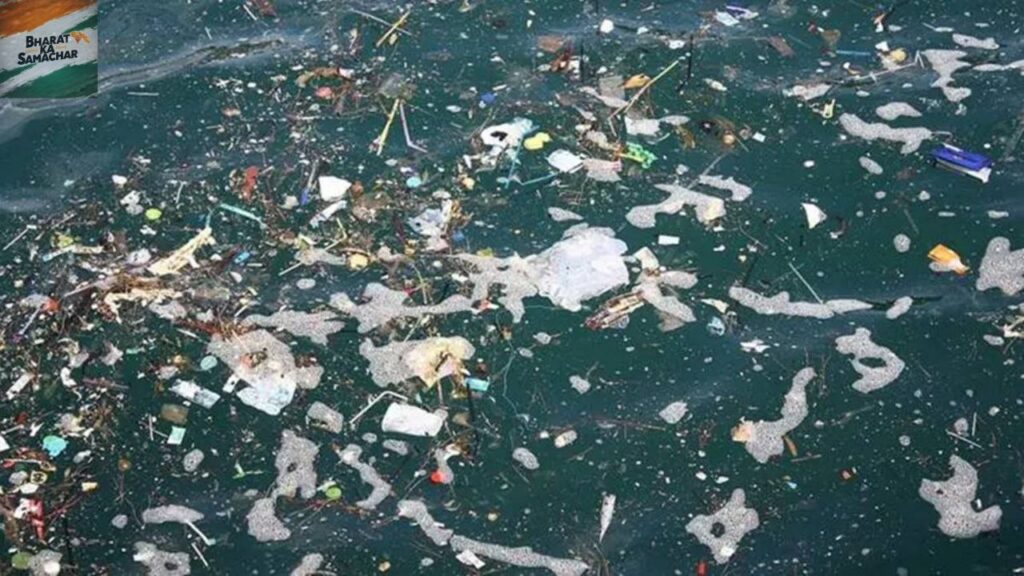 Plastic-eating fungus in the ocean