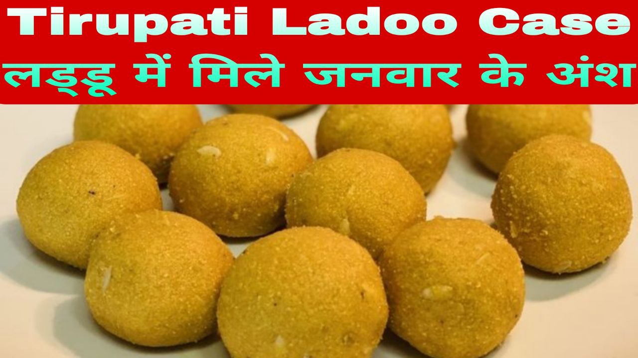 Tirupati Temple Ladoo Case